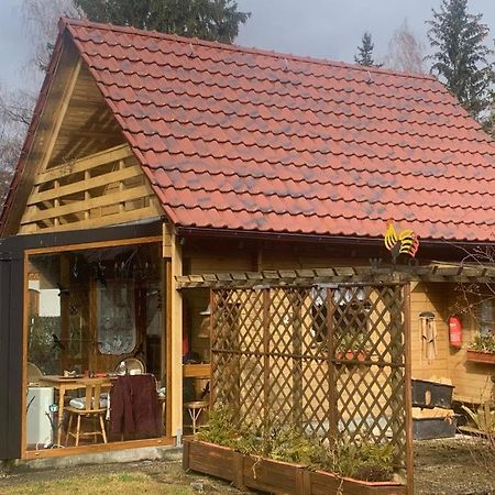 Holzhaus Mit Direktem Wasserzugang In Berlin-Koepenick Екстер'єр фото